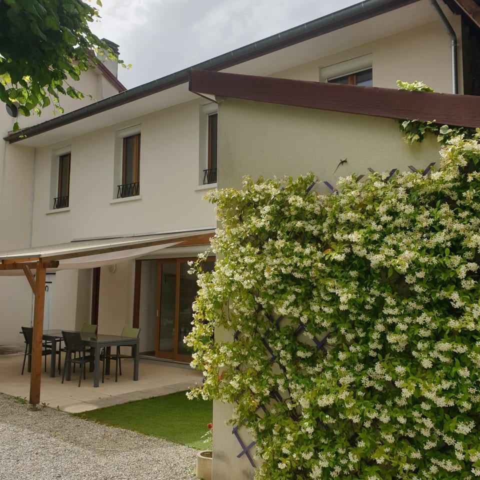 Patio, Garden view