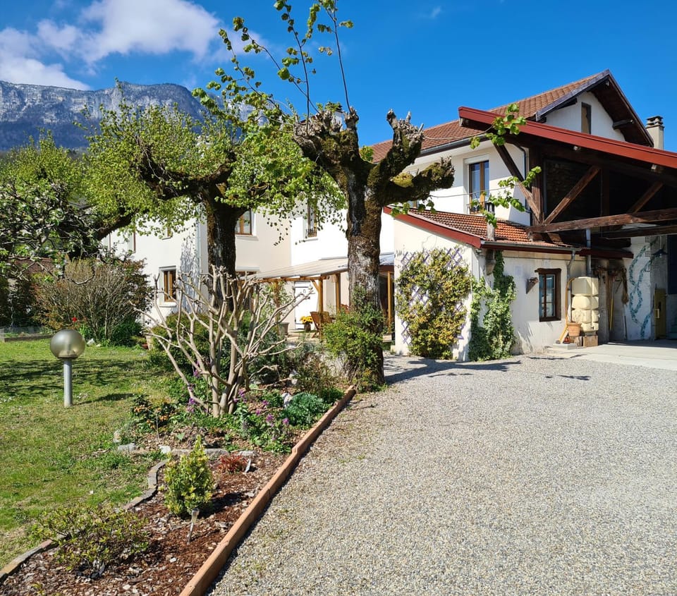 Natural landscape, Garden, Mountain view