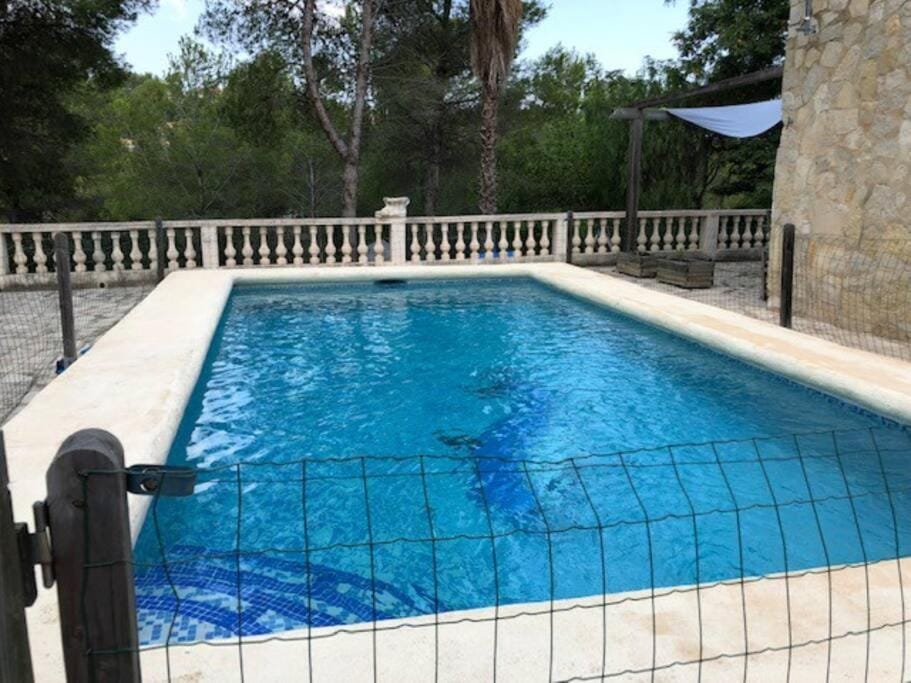 Pool view, Swimming pool