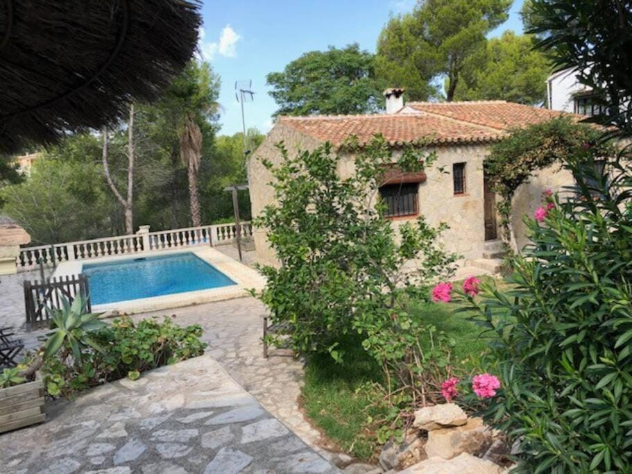 Garden, Swimming pool, sunbed