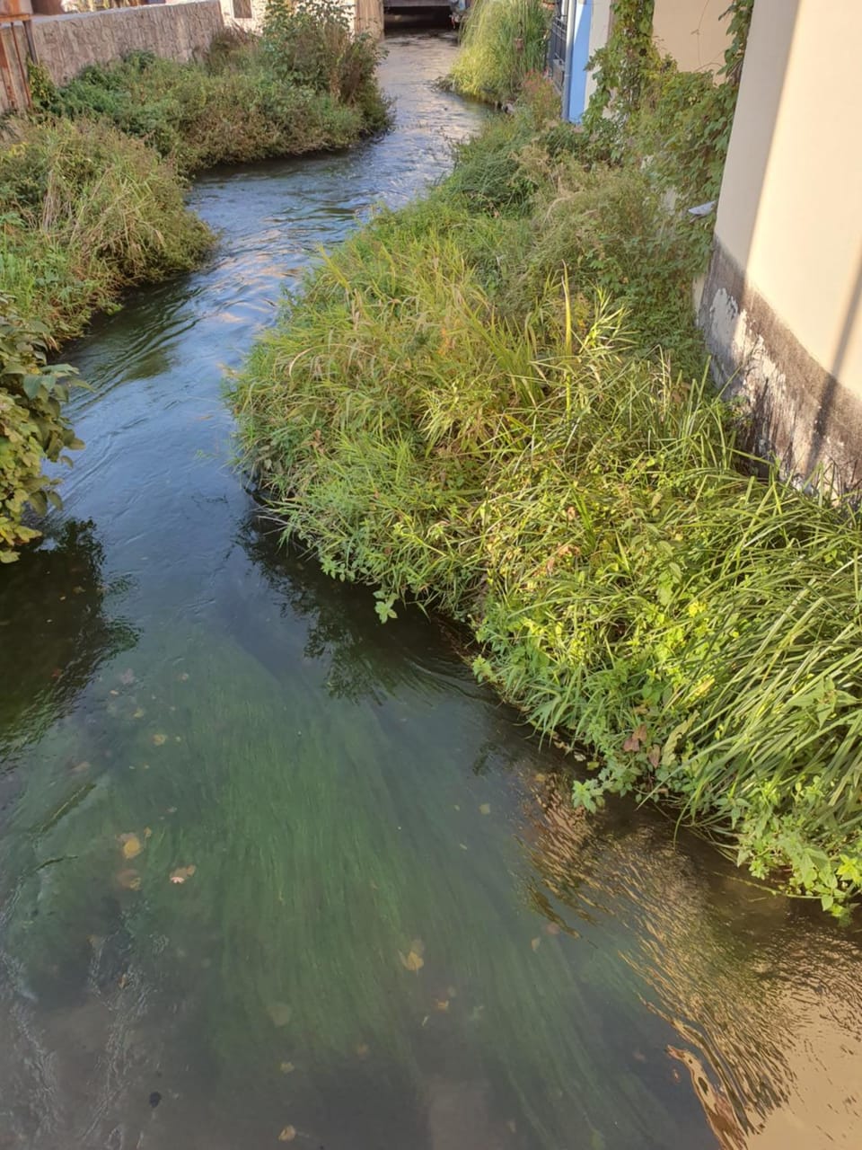 Les berges du moulin Apartment in Grand Est