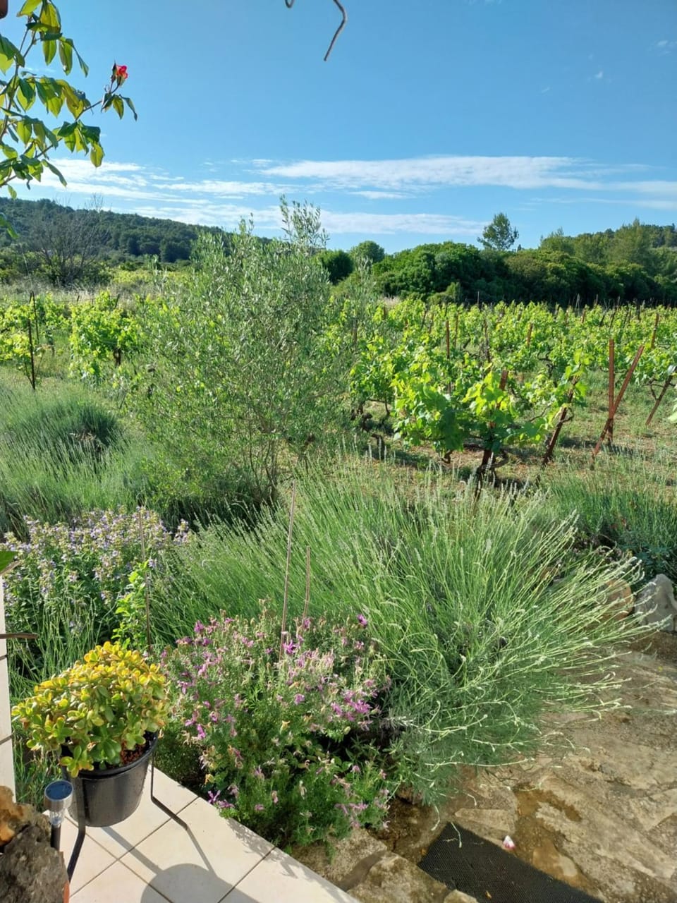 Cottage the Quiet House in Dubrovnik-Neretva County