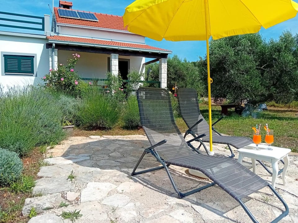 Patio, Garden view, sunbed