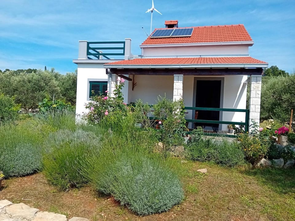 Property building, Day, Garden, Garden view