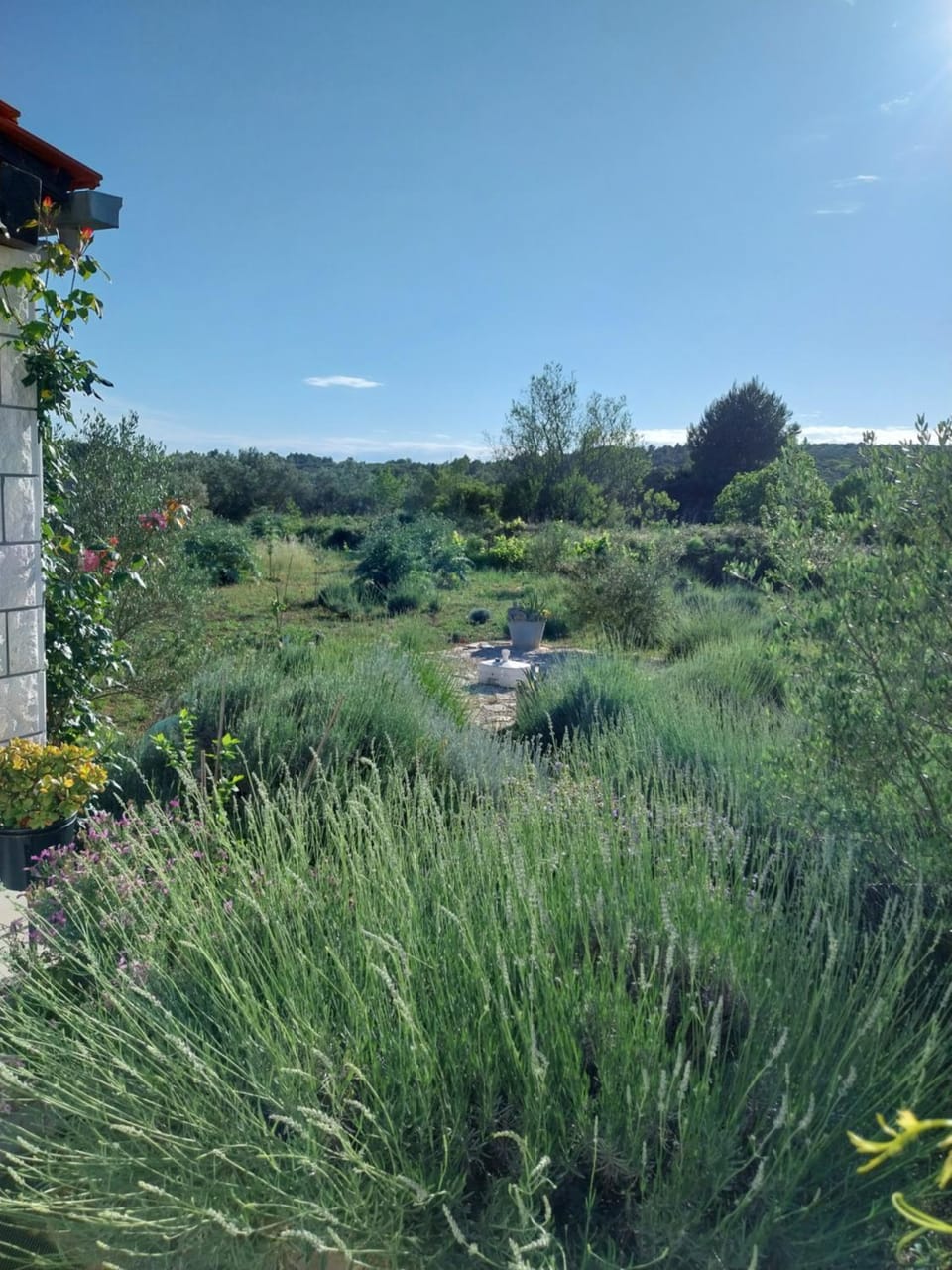 Cottage the Quiet House in Dubrovnik-Neretva County