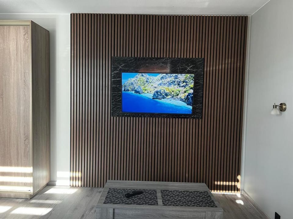 TV and multimedia
