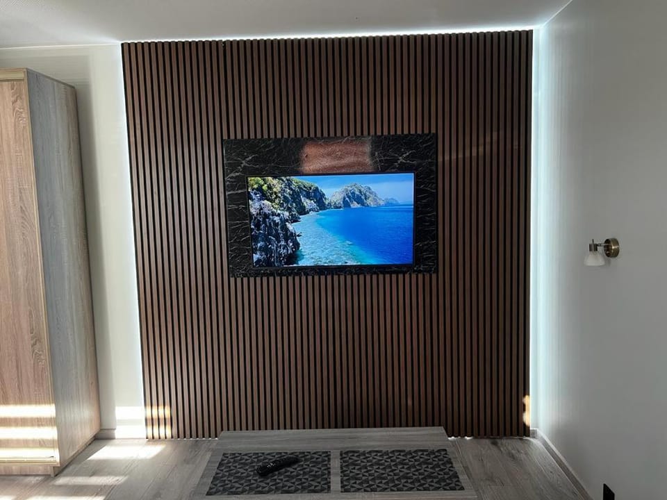 TV and multimedia