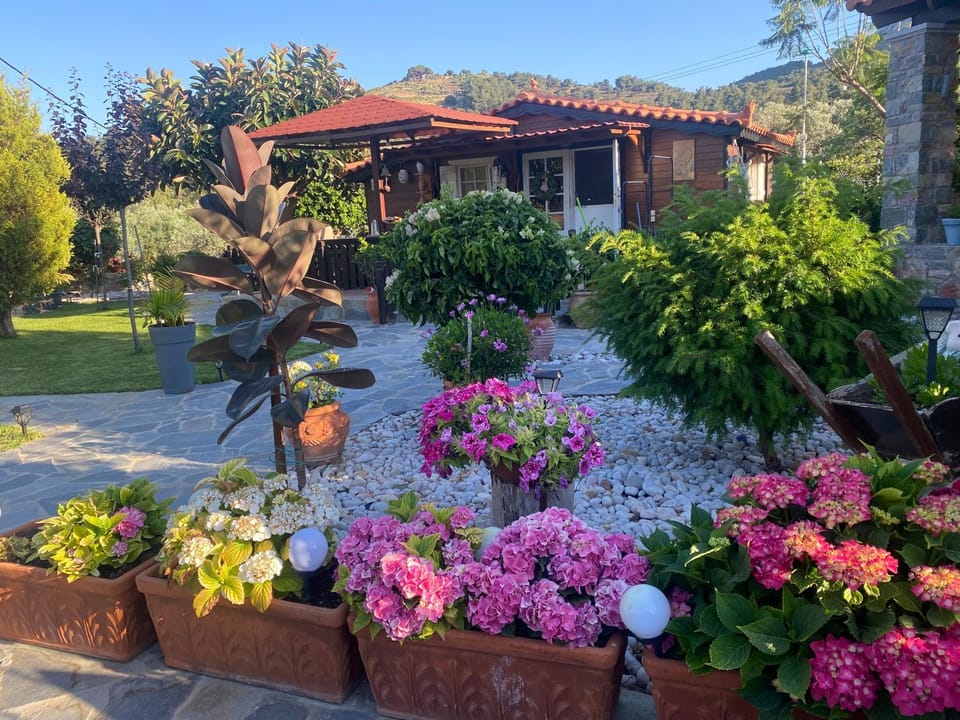 Property building, Garden, Garden view