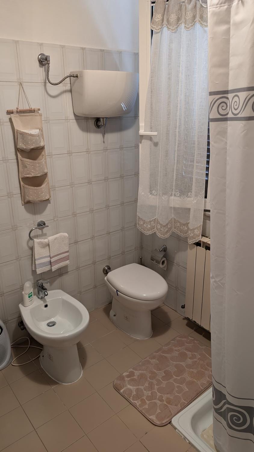 Shower, Toilet, Bathroom, bidet, towels