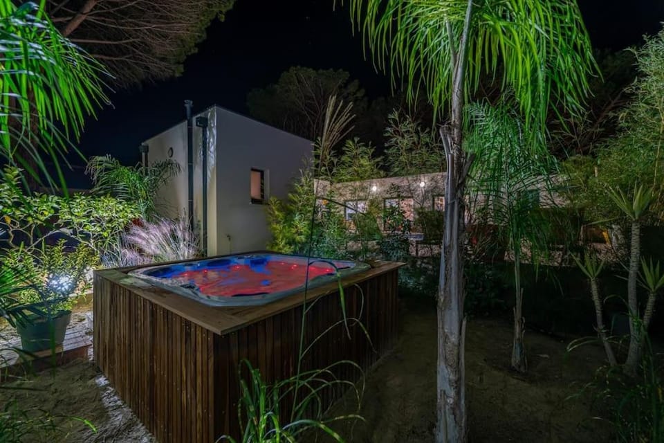 Villa haut de gamme 160 M2 Piscine chfé et Jacuzzi Villa in Aigues-Mortes