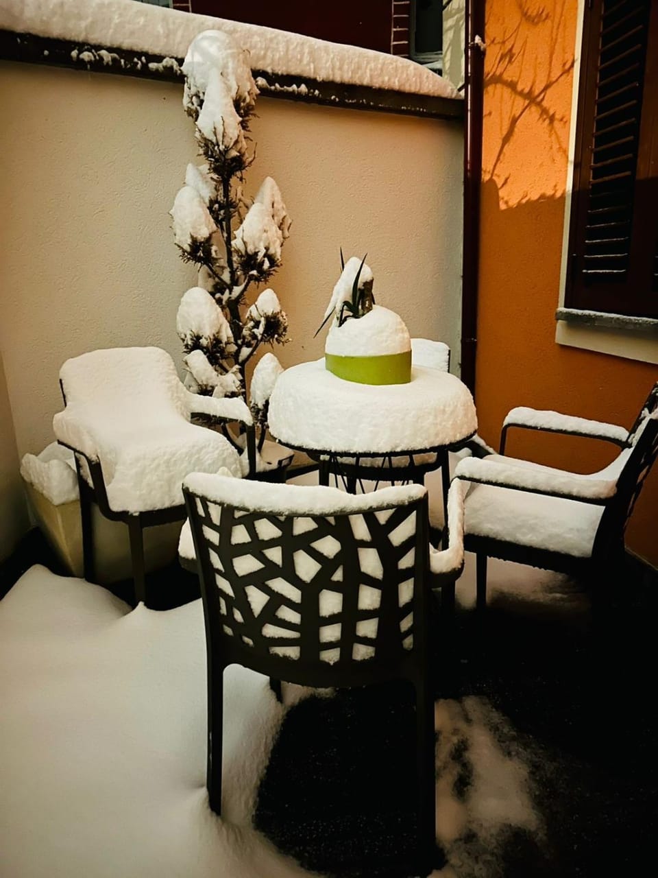 Winter