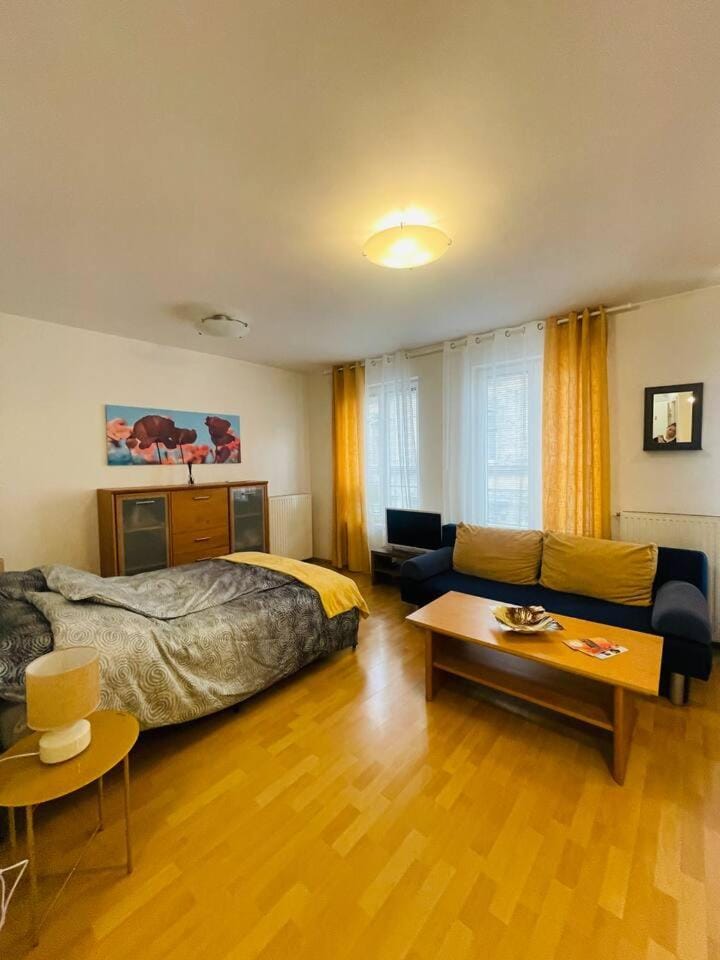 CENTRAL STUDIO CLOSE TO ANDRASSY AVENUE for 4 persons Apartment in Budapest