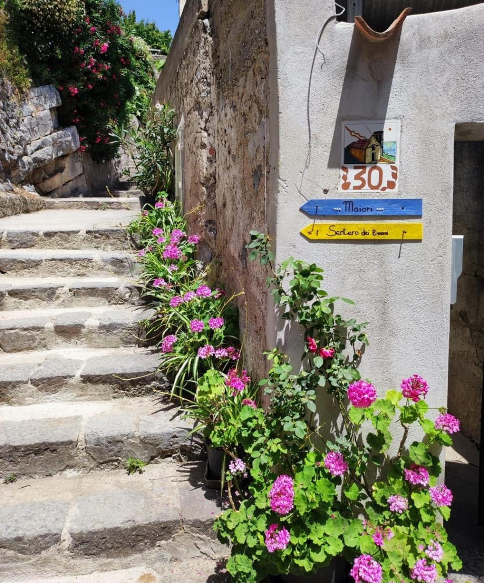 Entertainment, Entertainment