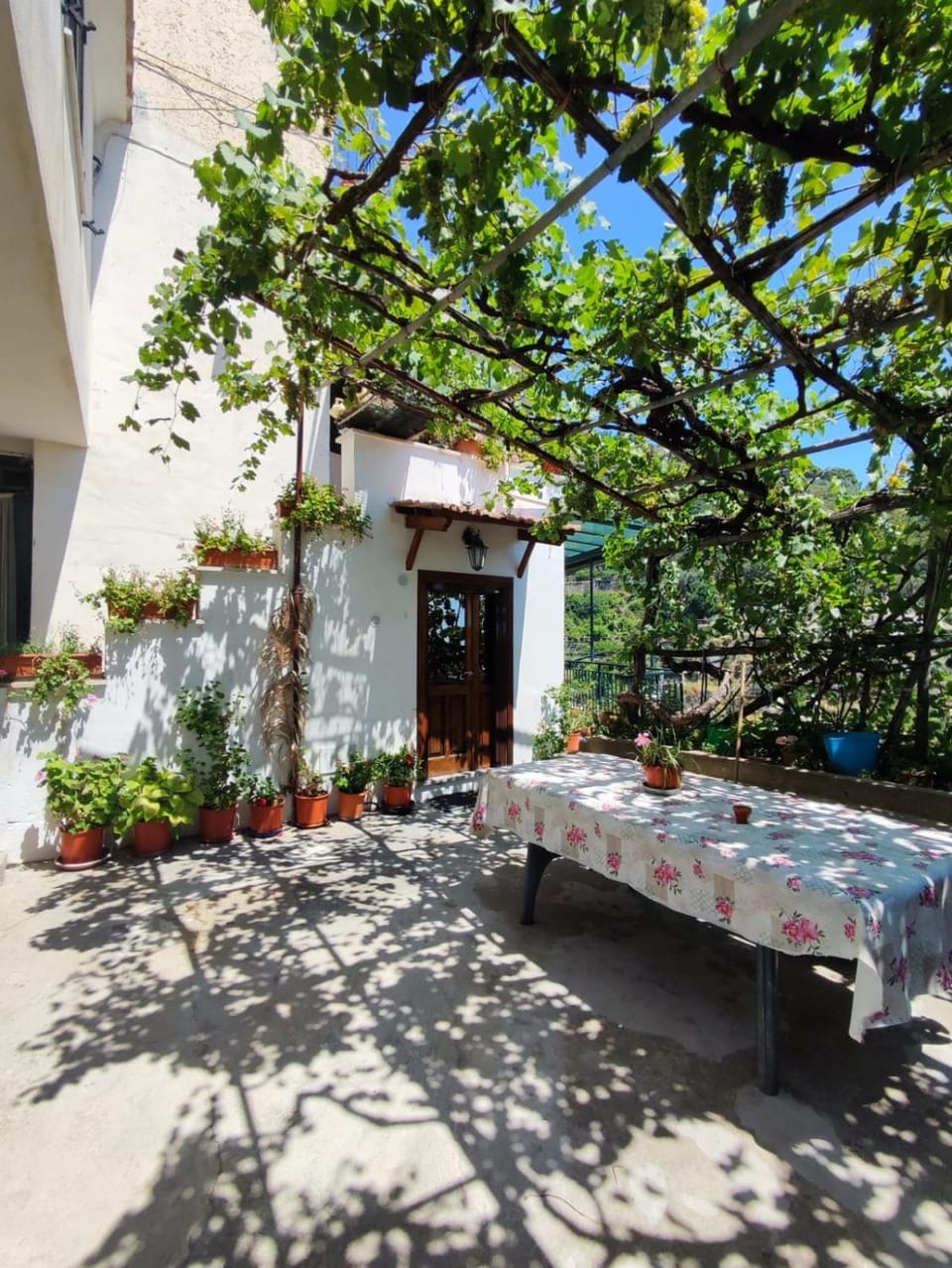 Garden, Garden, Garden view