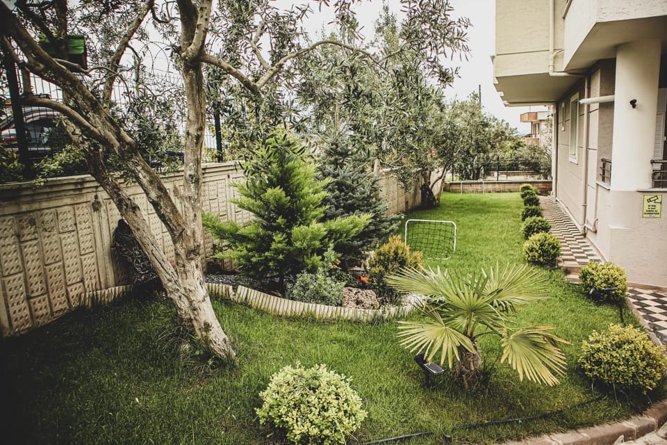 Spring, Day, Natural landscape, Garden, Garden, Garden view