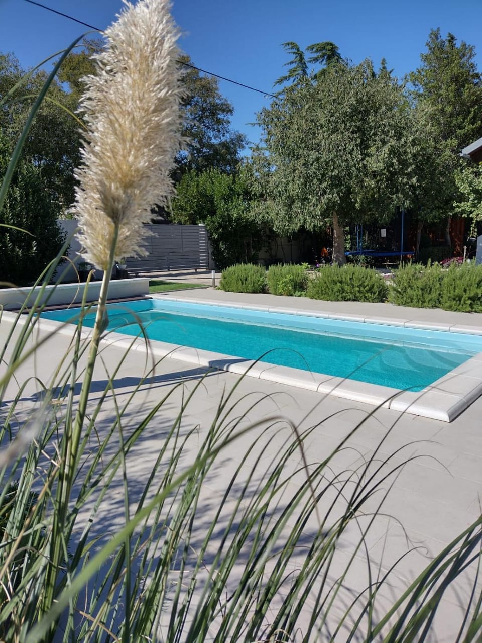 Garden, Garden view, Pool view, Swimming pool