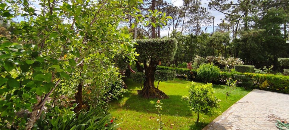 Off site, Garden