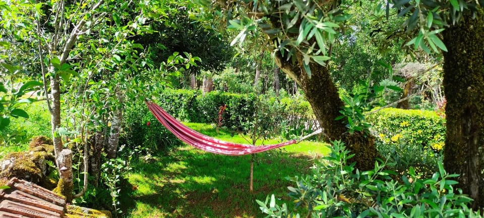 Spring, Natural landscape, Garden