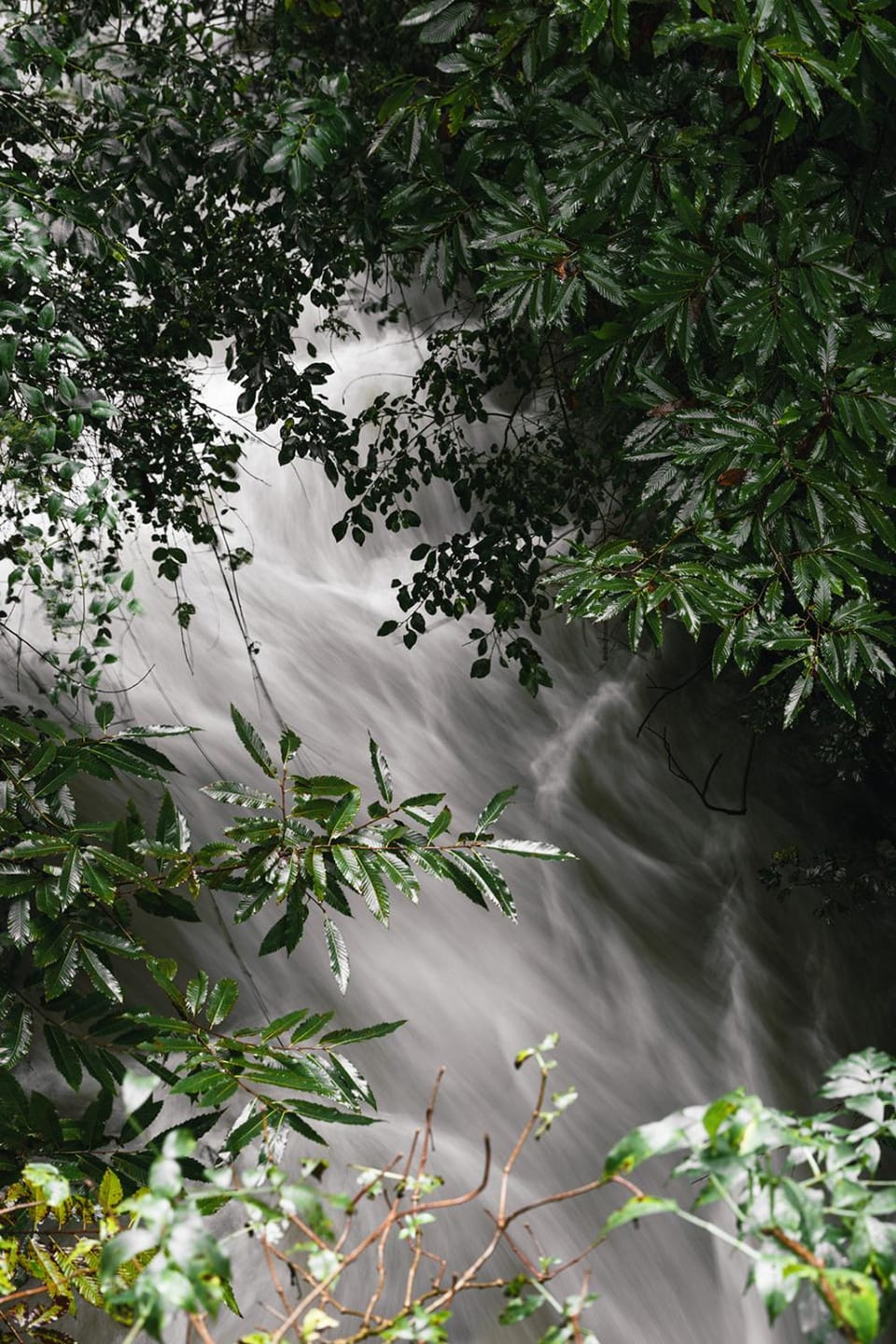 Palazzo Branca - Unique experience Villa in Canton of Ticino