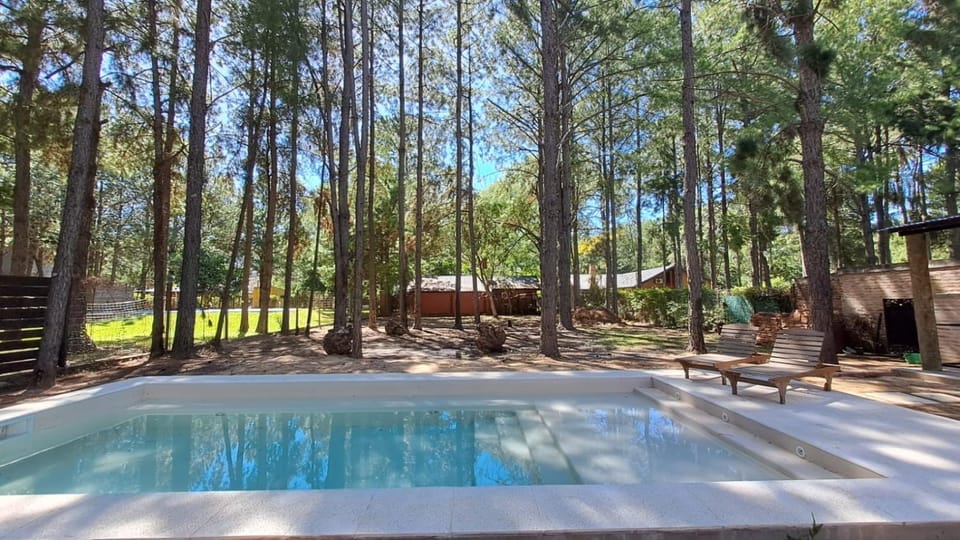 Garden, Garden view, Pool view, Swimming pool, sunbed