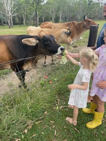 3 bed cottage nestled at centre of 21 acres in Blackbutt House in Queensland