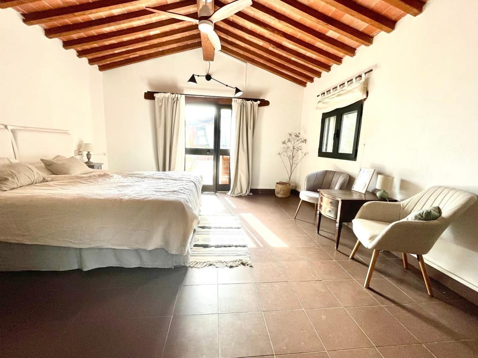 Bed, Living room, Photo of the whole room, Seating area, Bedroom