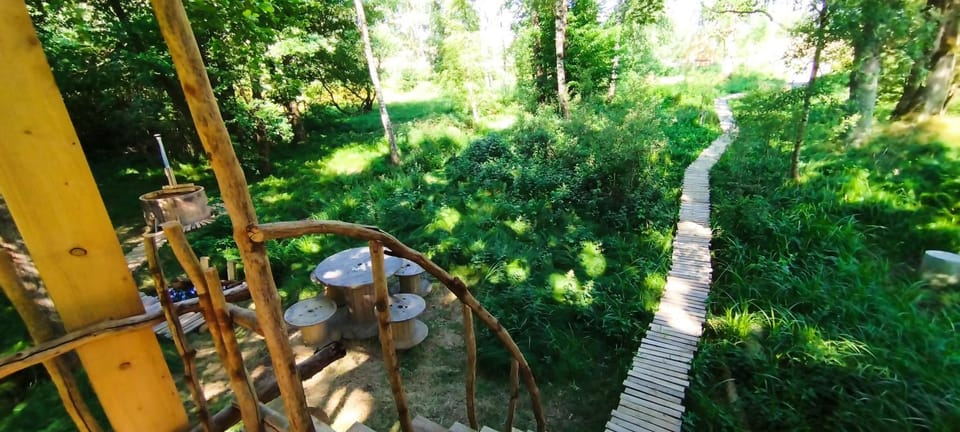 View (from property/room)