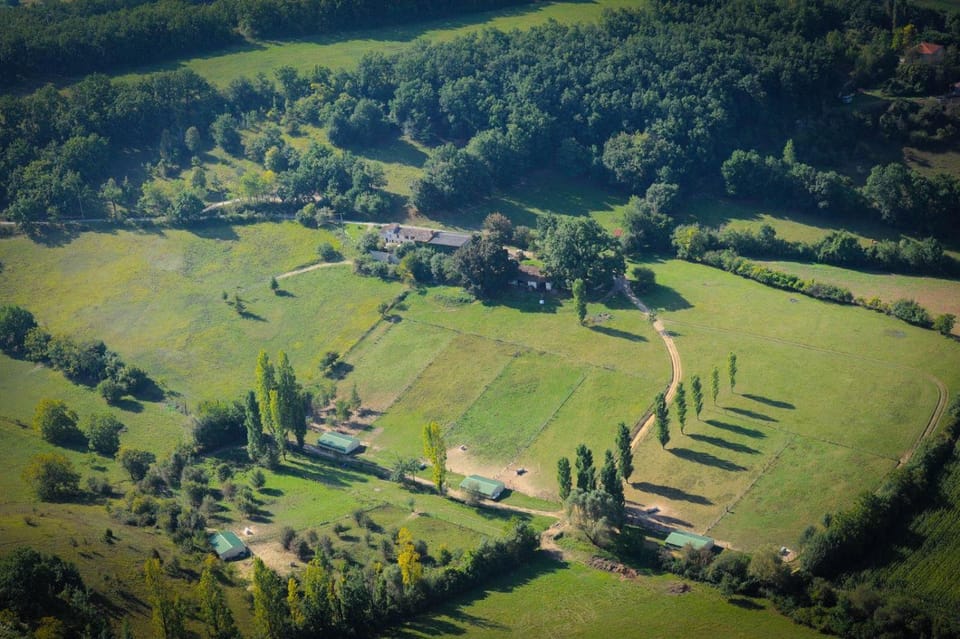 Natural landscape, Bird's eye view, Garden