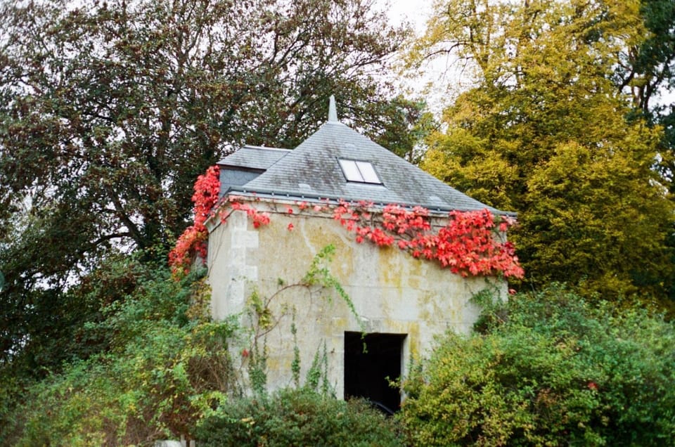 Property building, Spring, Garden, Garden view
