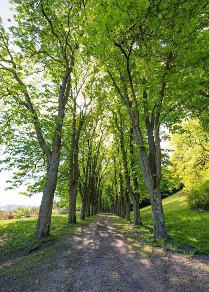 Spring, Natural landscape