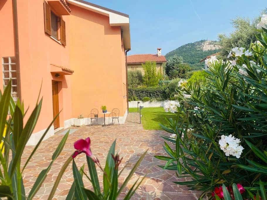Property building, Garden view