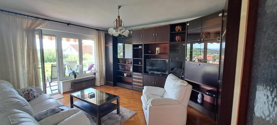 TV and multimedia, Living room, Decorative detail, Seating area, Pets, internet