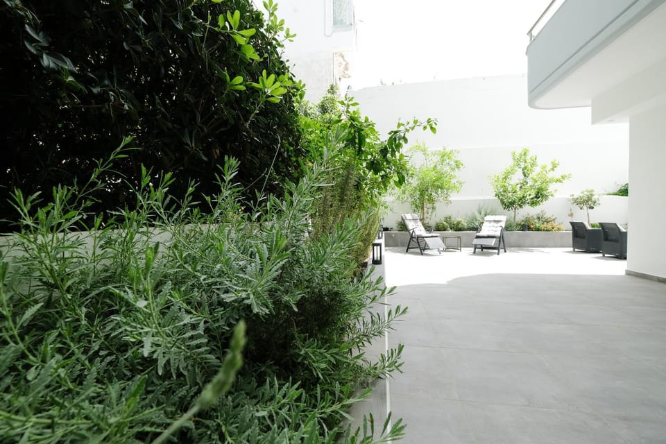Garden view
