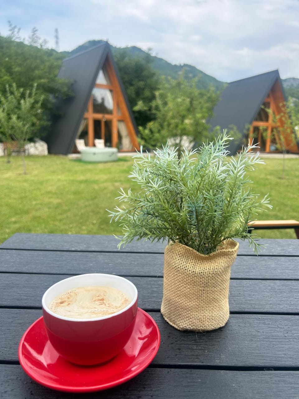 Albero Casa House in Montenegro