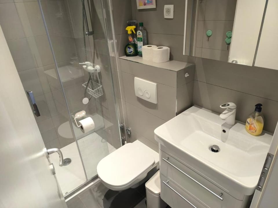 Toilet, Bathroom