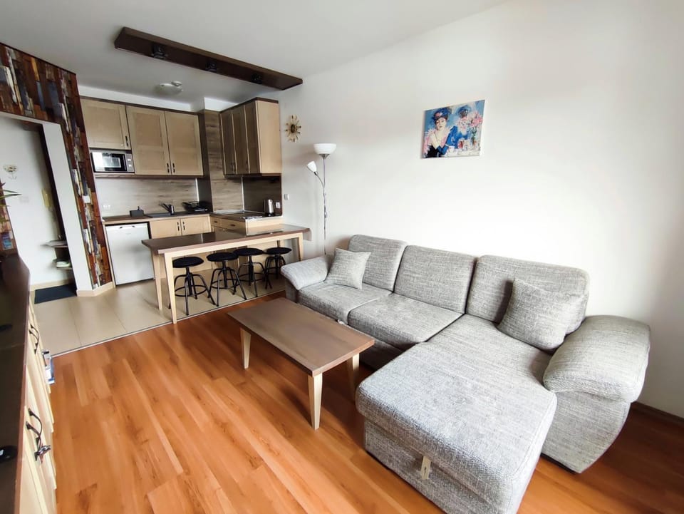 Kitchen or kitchenette, Living room, Dining area, pet friendly, stove