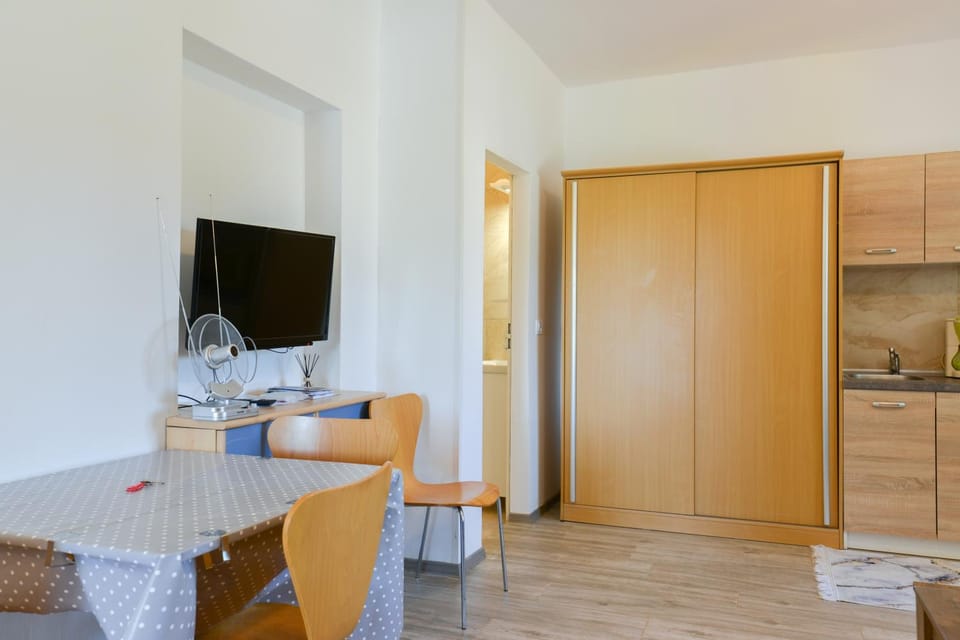 TV and multimedia, Kitchen or kitchenette, Living room, Seating area, Dining area, minibar, wardrobe