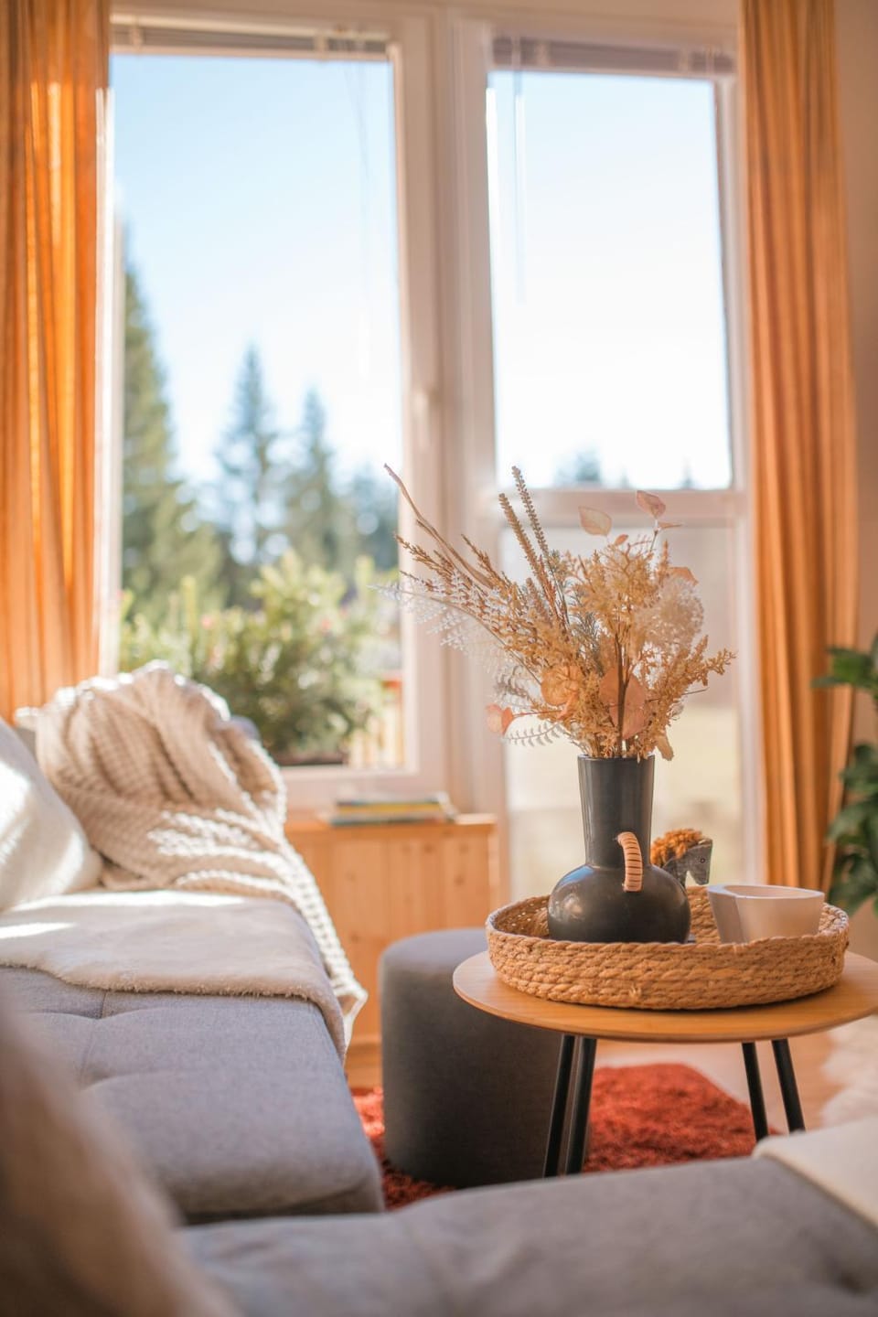 Day, Living room, Seating area