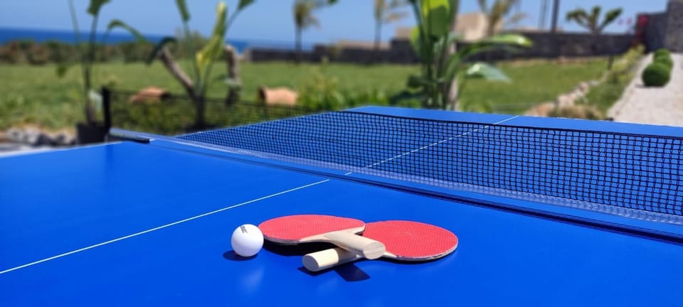 Table tennis