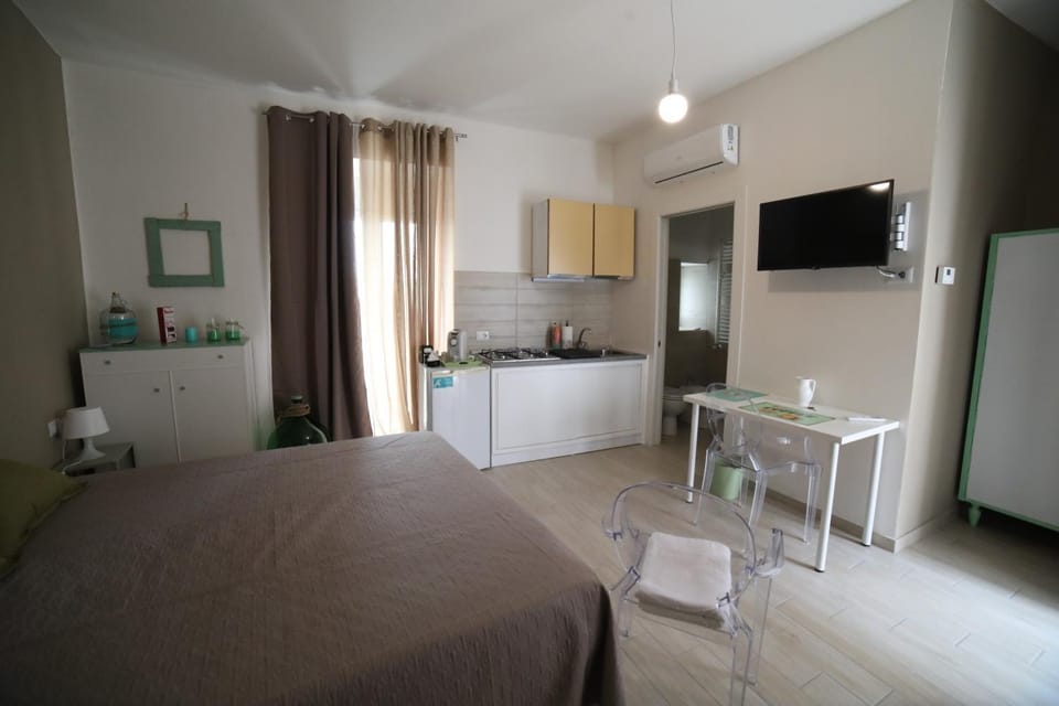 Bed, TV and multimedia, Kitchen or kitchenette, Photo of the whole room, Bedroom, minibar, stove