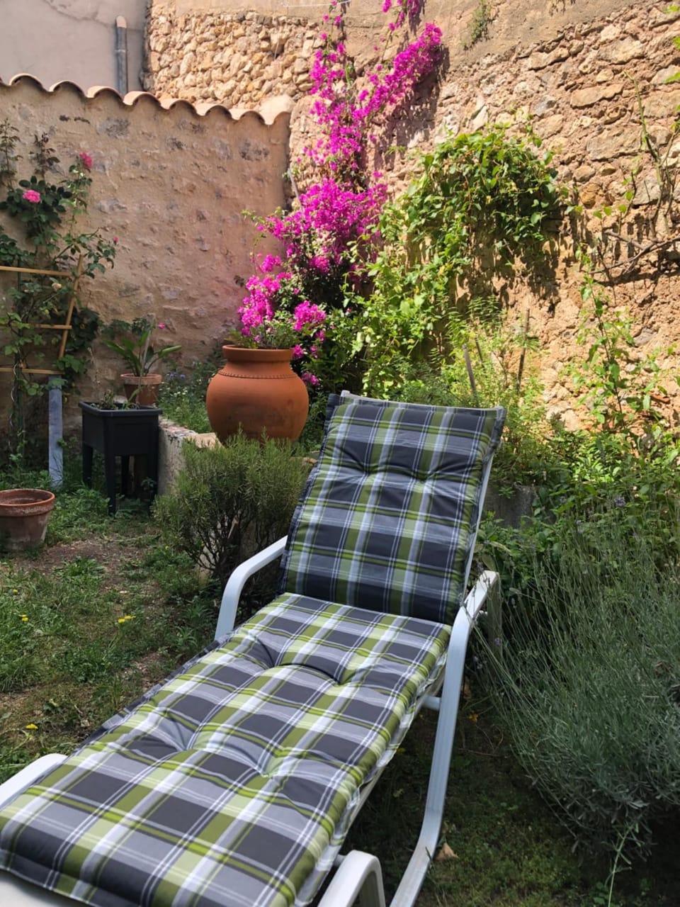 Day, Garden, sunbed
