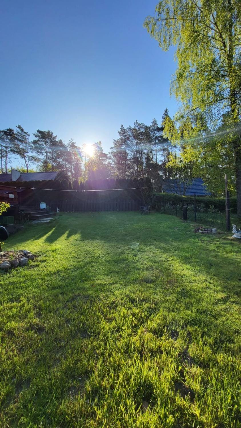 Day, Natural landscape, Garden