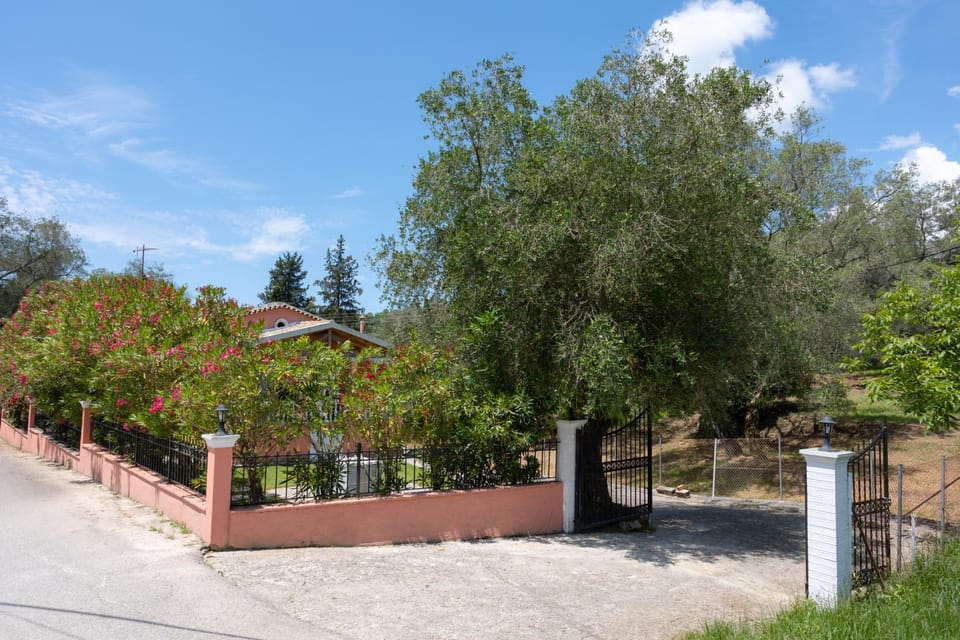 Day, Garden view