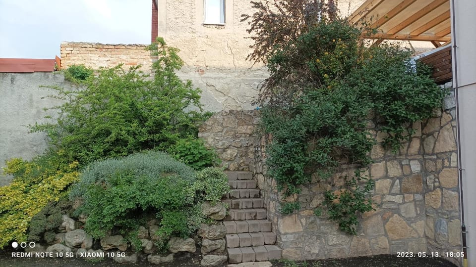 Garden, Garden