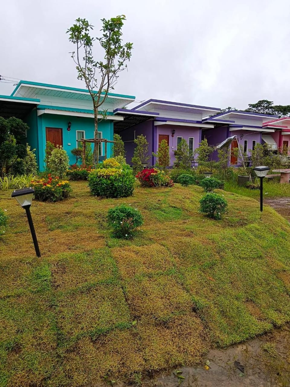 Property building, Spring, Day, Natural landscape, Garden, Garden view