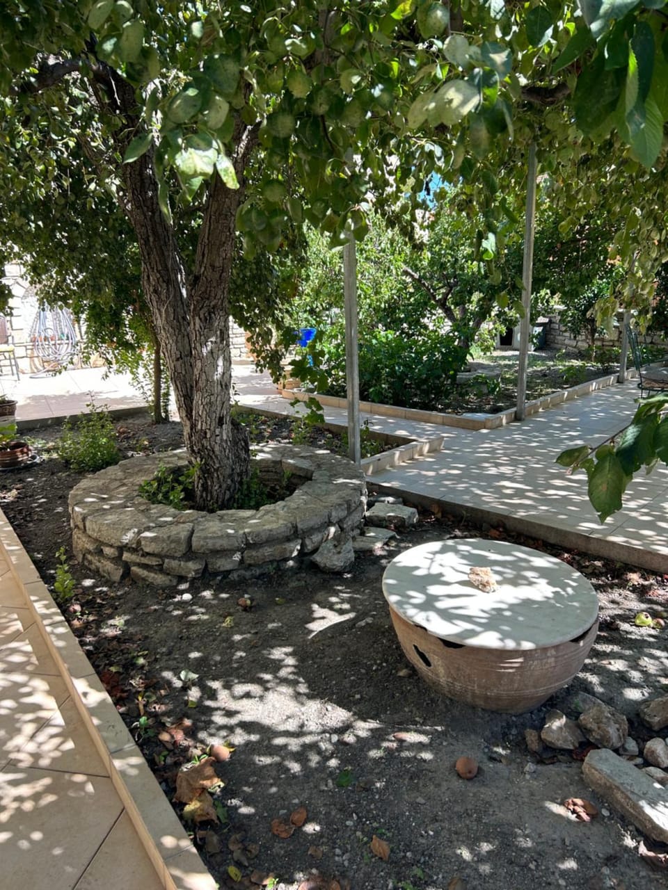 Garden view