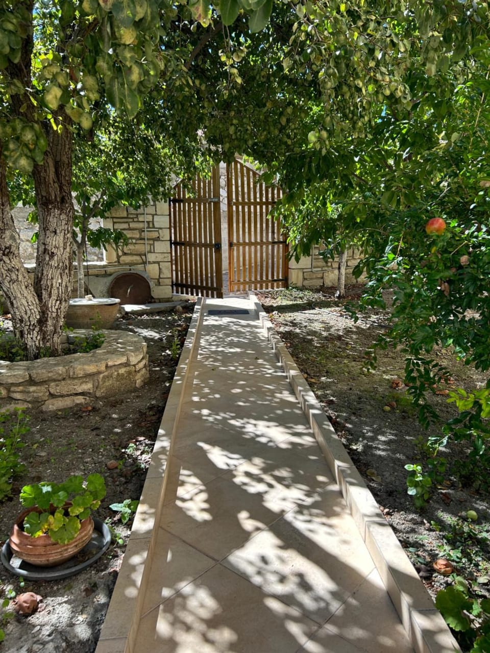 Garden view