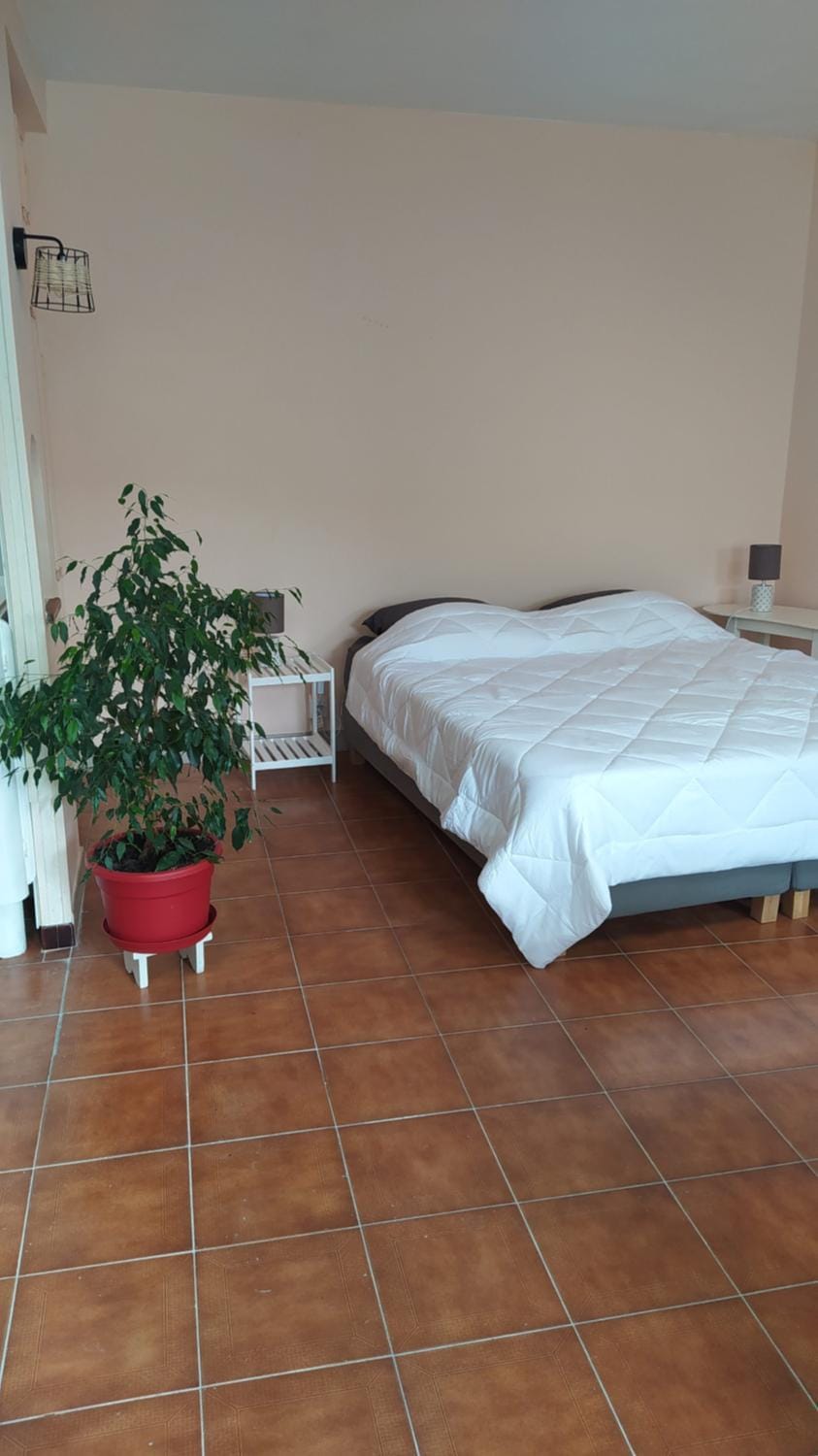 Le 5 Apartment in Nouvelle-Aquitaine