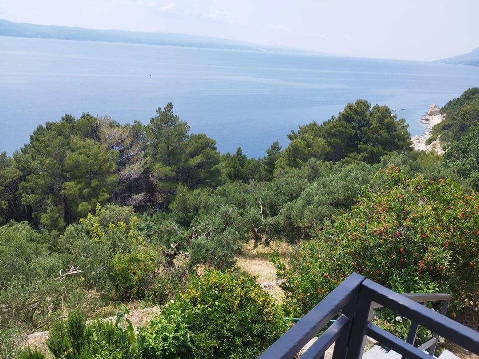 View (from property/room), Sea view