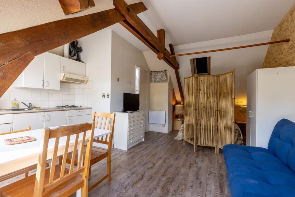 Kitchen or kitchenette, Living room, Seating area, Dining area, minibar, stove